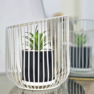 plante